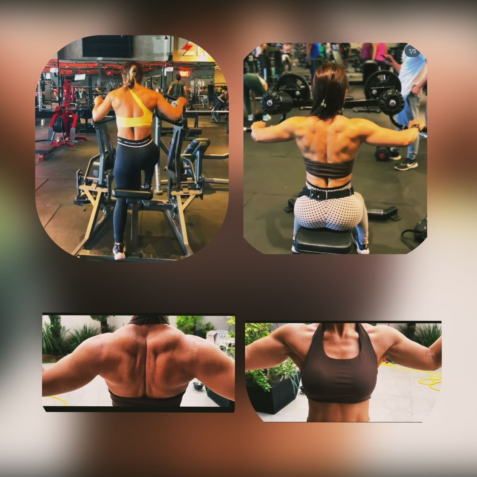 Evolução de Costas